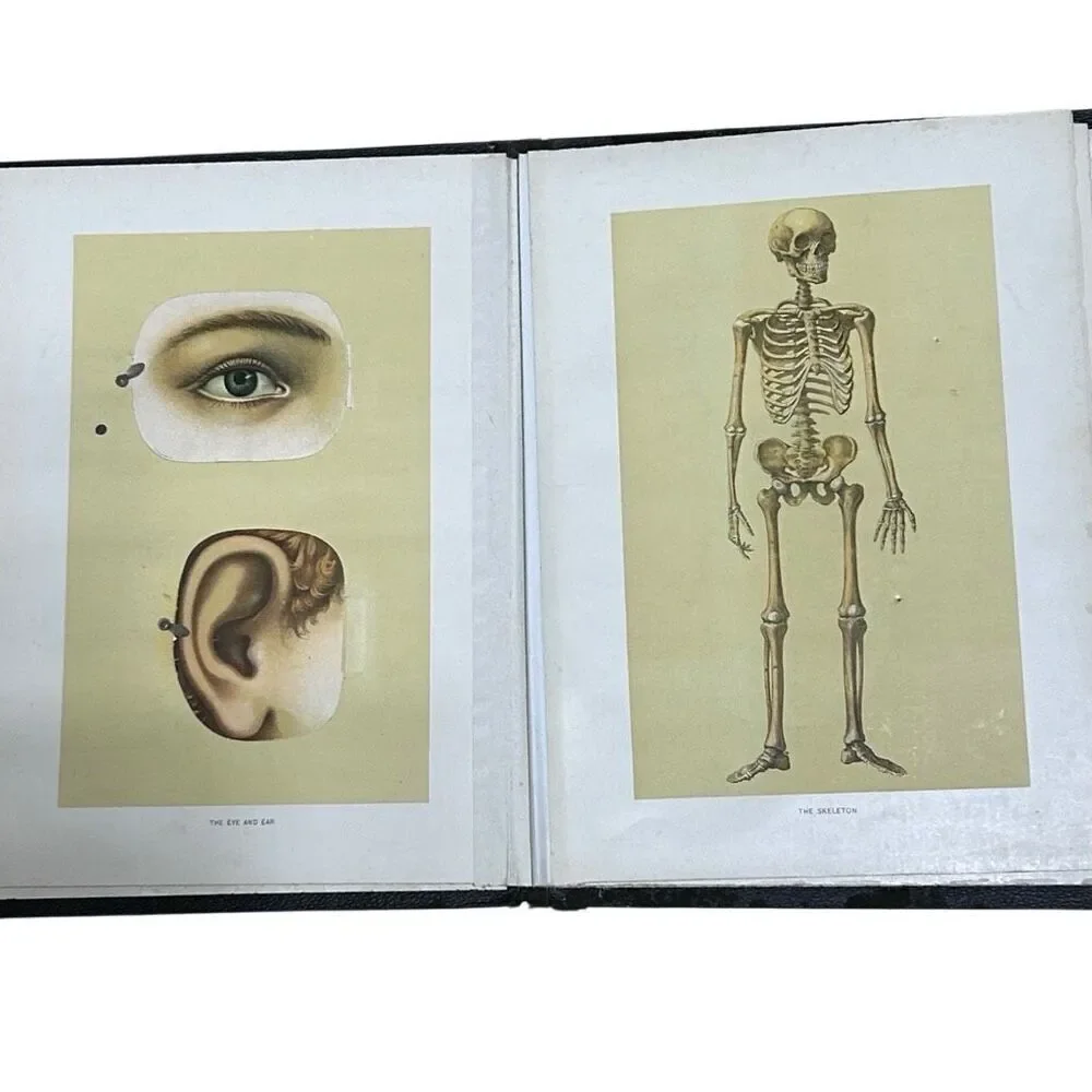 Vtg Western Publishing Nurses/Physician's Anatomical Aid by Ira E. Bunn & Co.